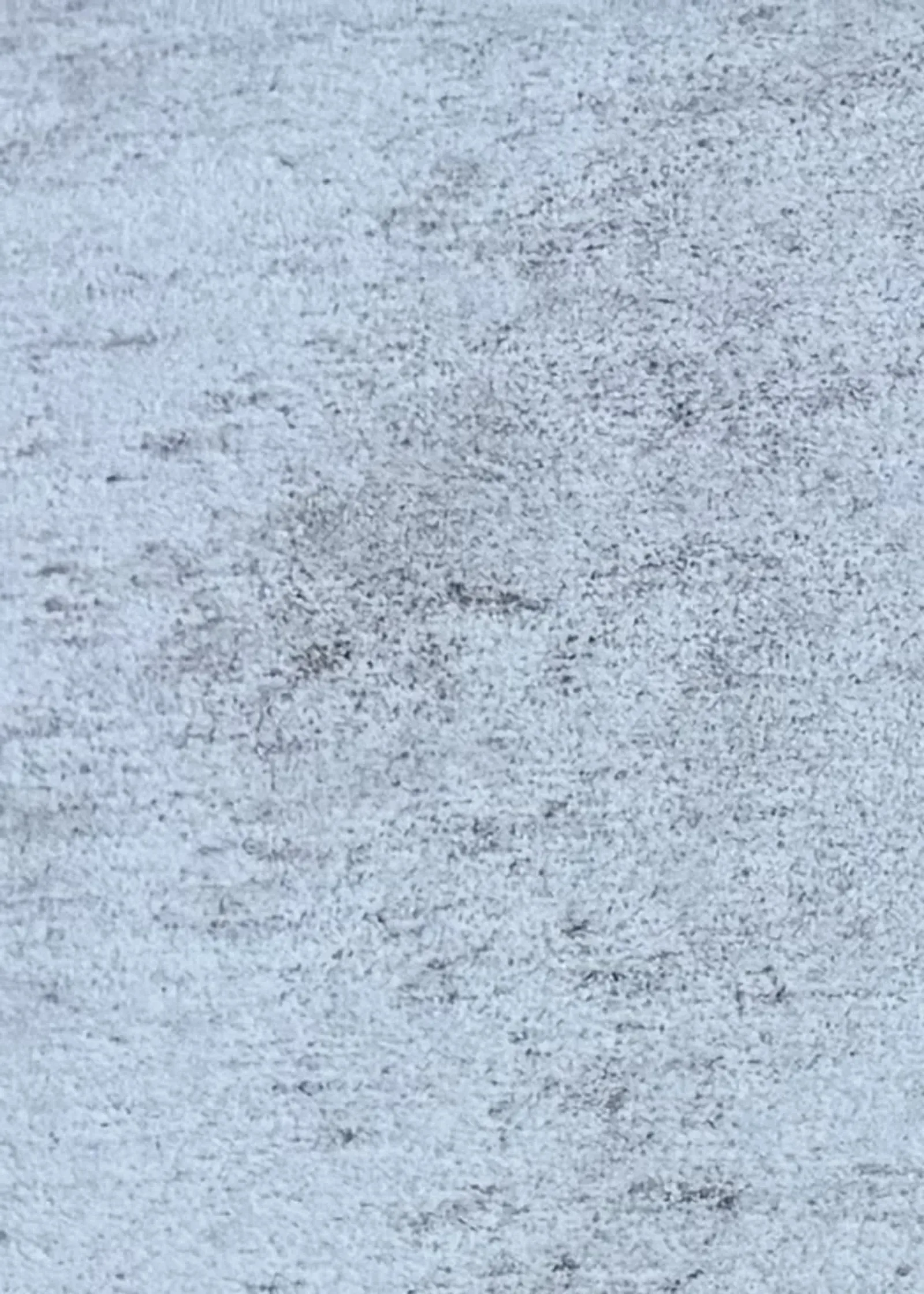 Detailopname bij houtrotinspectie